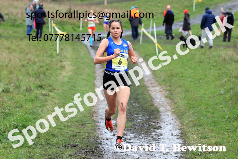 Girls Under-15s 2025 Start Fitness NEHL, Wrekenton, Gateshead, Sunday, November 23rd. Photo: David T. Hewitson/Sports for All Pics